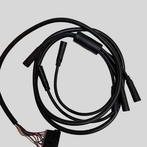 Cablaggio per bicicletta elettrica ENGWE M1