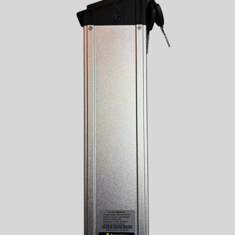 Batteria ENGWE Originale 48V 10Ah per Engwe X26