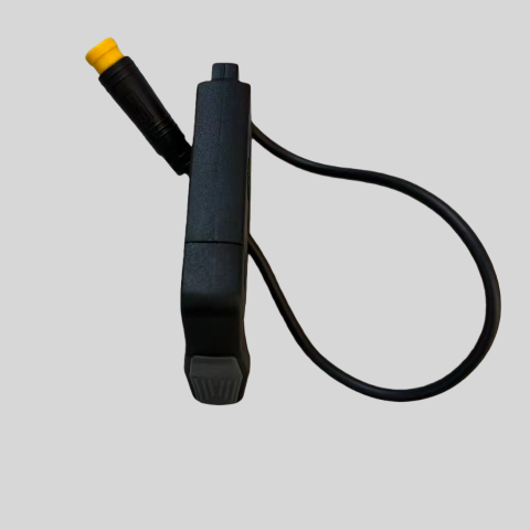 Acceleratore Originale per bicicletta elettrica ENGWE P20