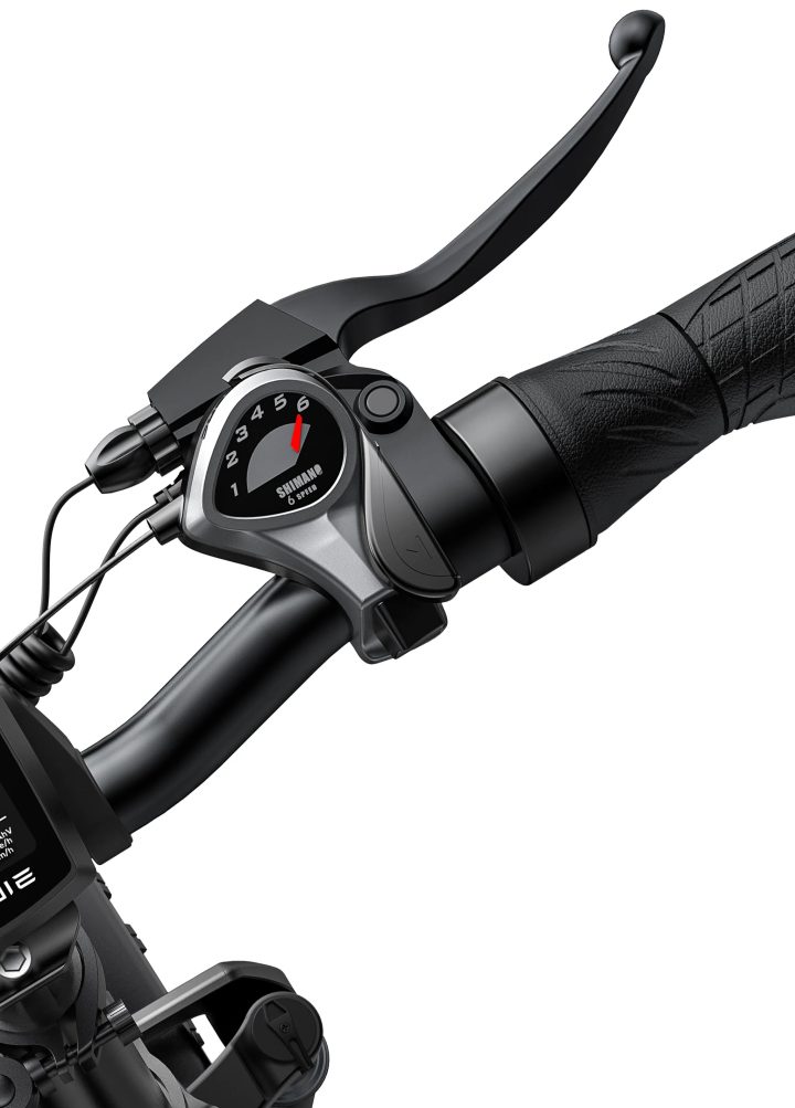 ENGWE EP-2 PRO EU | Bicicletta elettrica | Ruote Fat | 48V 13Ah | Autonomia fino 100km | GARANZIA ITALIANA
