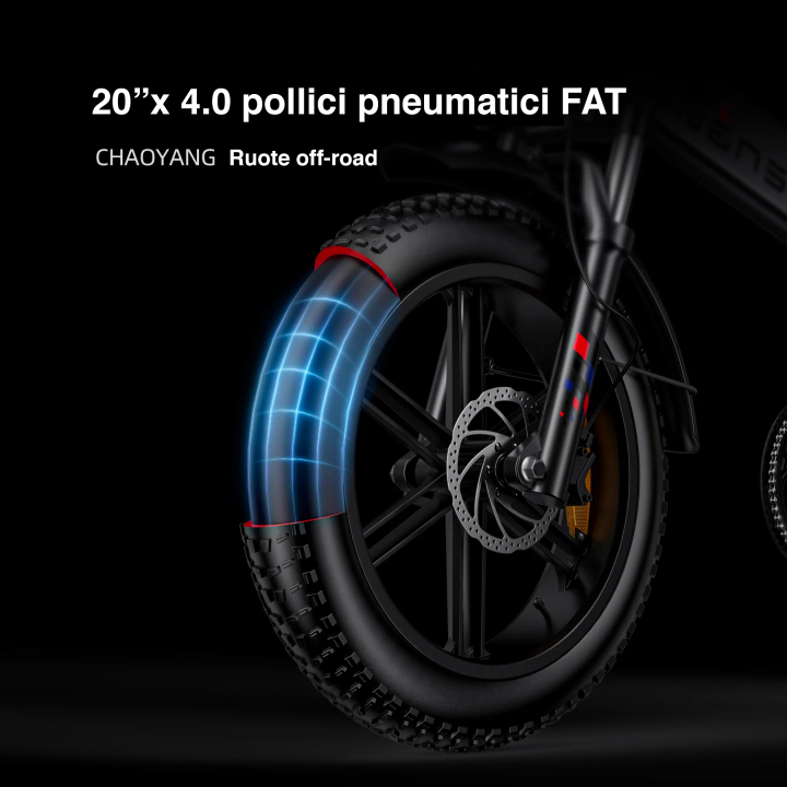ENGWE ENGINE X | Bicicletta elettrica | Motore 250W | 48V 13AH | Autonomia 90km | GARANZIA ITALIANA