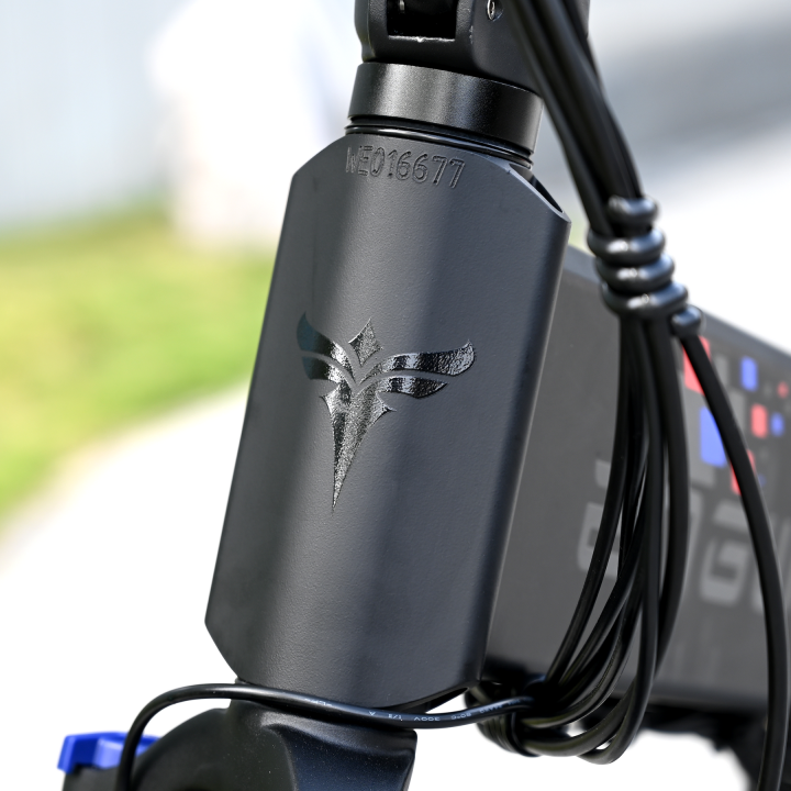 ENGWE ENGINE X | Bicicletta elettrica | Motore 250W | 48V 13AH | Autonomia 90km | GARANZIA ITALIANA