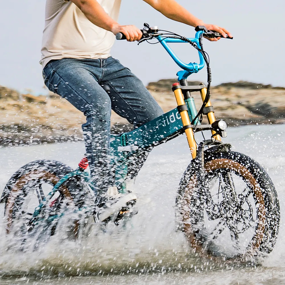 Fiido M1 Pro 2025 |GARANZIA ITALIANA| Bicicletta elettrica | Versatile | Motore 250W 50Nm | Batteria 556.8Wh | Sensore di coppia | Freni idraulici | Autonomia 88,79 Km
