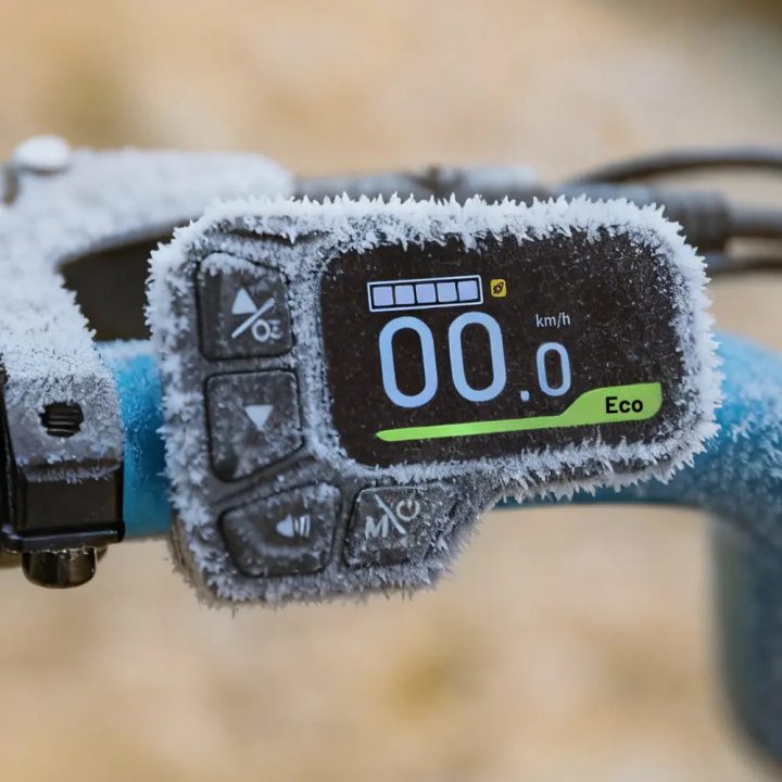 Fiido M1 Pro 2025 |GARANZIA ITALIANA| Bicicletta elettrica | Versatile | Motore 250W 50Nm | Batteria 556.8Wh | Sensore di coppia | Freni idraulici | Autonomia 88,79 Km