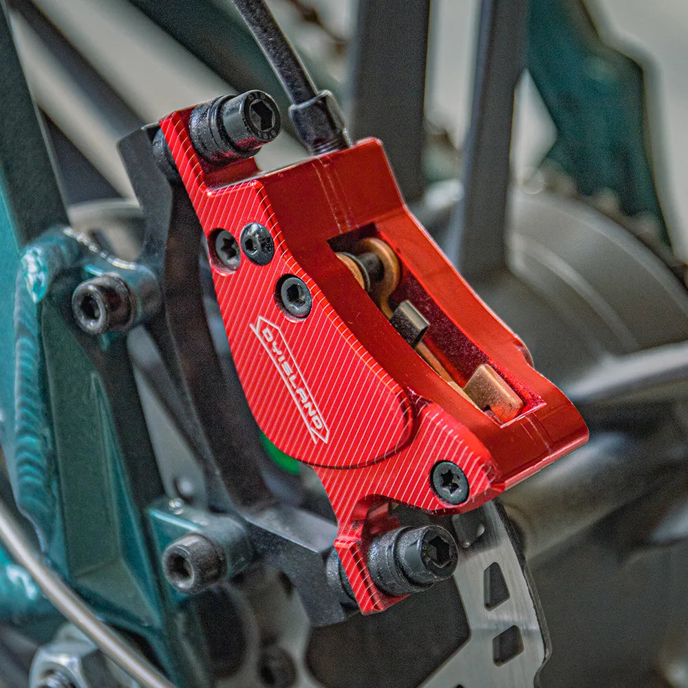 Fiido M1 Pro 2025 |GARANZIA ITALIANA| Bicicletta elettrica | Versatile | Motore 250W 50Nm | Batteria 556.8Wh | Sensore di coppia | Freni idraulici | Autonomia 88,79 Km
