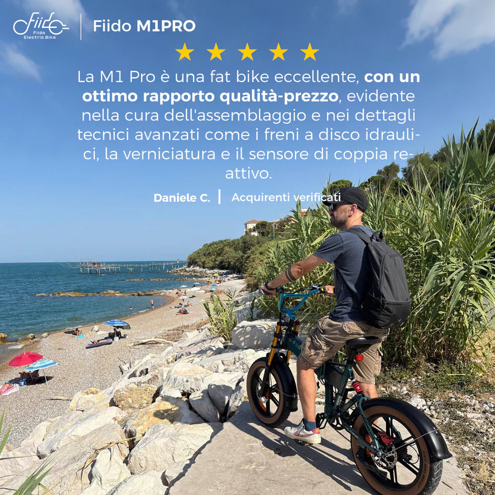 Fiido M1 Pro 2025 |GARANZIA ITALIANA| Bicicletta elettrica | Versatile | Motore 250W 50Nm | Batteria 556.8Wh | Sensore di coppia | Freni idraulici | Autonomia 88,79 Km