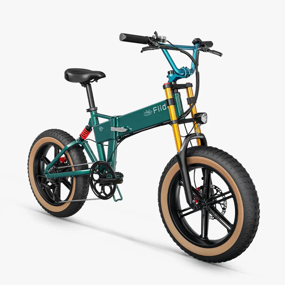 Fiido M1 Pro 2025 |GARANZIA ITALIANA| Bicicletta elettrica | Versatile | Motore 250W 50Nm | Batteria 556.8Wh | Sensore di coppia | Freni idraulici | Autonomia 88,79 Km