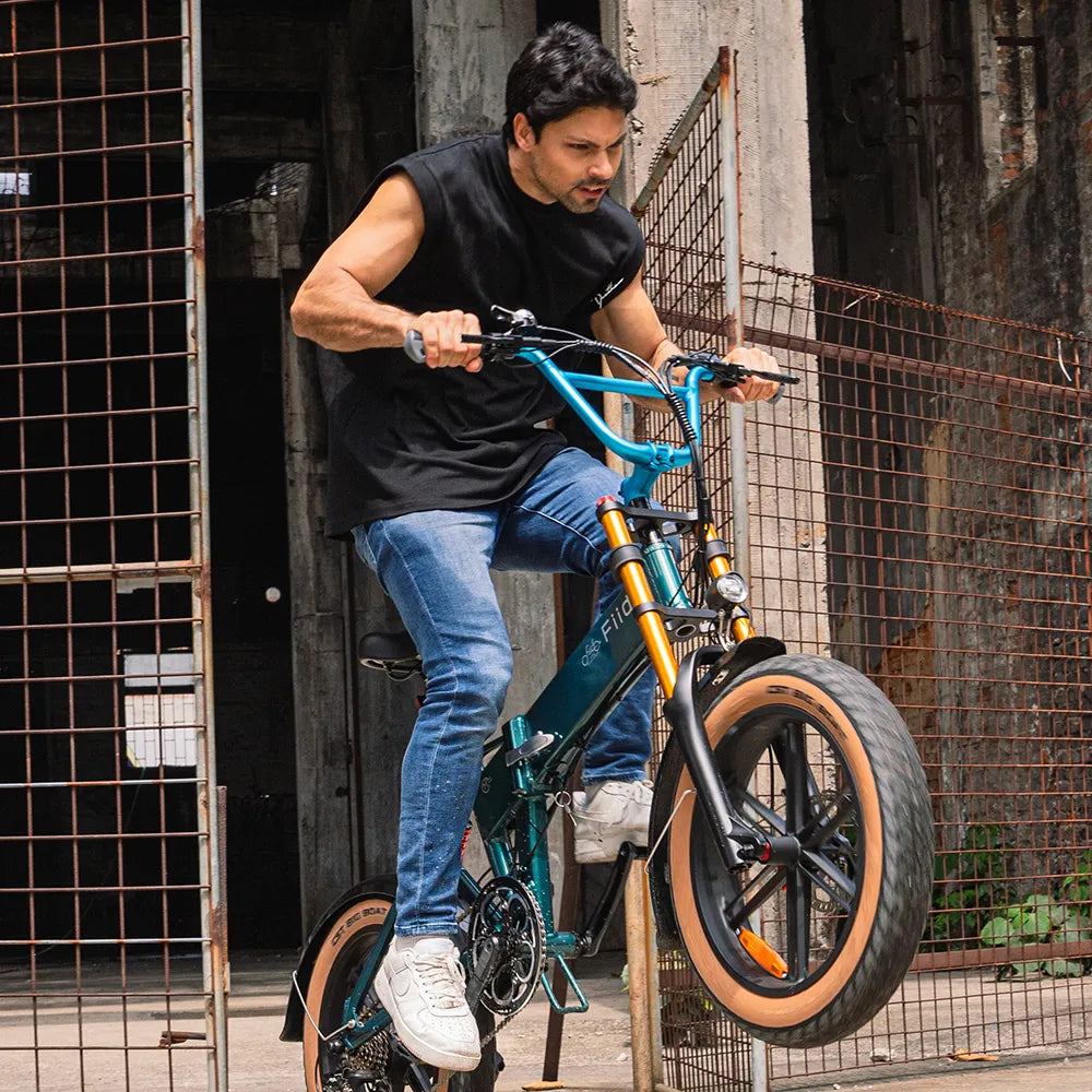 Fiido M1 Pro 2025 |GARANZIA ITALIANA| Bicicletta elettrica | Versatile | Motore 250W 50Nm | Batteria 556.8Wh | Sensore di coppia | Freni idraulici | Autonomia 88,79 Km