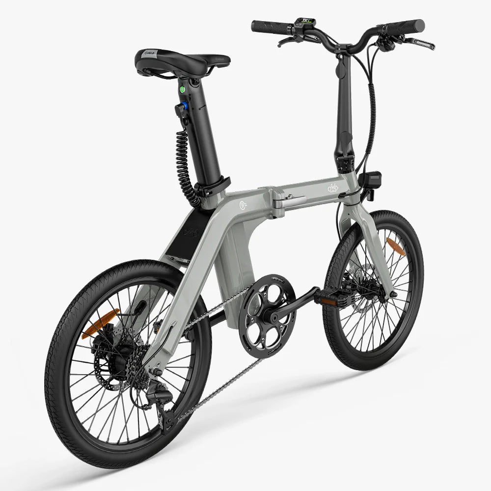 FIIDO D11 2025 | Bicicletta elettrica | Ultra Leggera | DMEGC 417,6 Wh | Sensore di coppia | Freni idraulici | Autonomia 86Km| GARANZIA ITALIANA