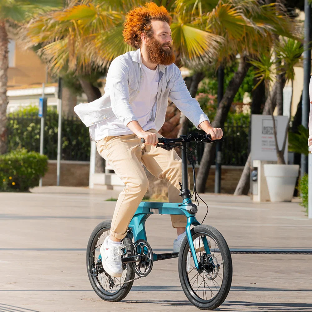 FIIDO X | Bicicletta elettrica |  Sensore di coppia Mivice S200 | Motore 250W | Autonomia 130km | GARANZIA ITALIANA