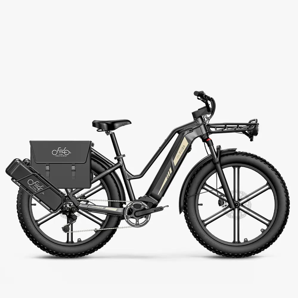 FIIDO Titan | Bicicletta Elettrica | Sensore di Coppia | Motore 250W 55Nm | Autonomia 115km | GARANZIA ITALIANA